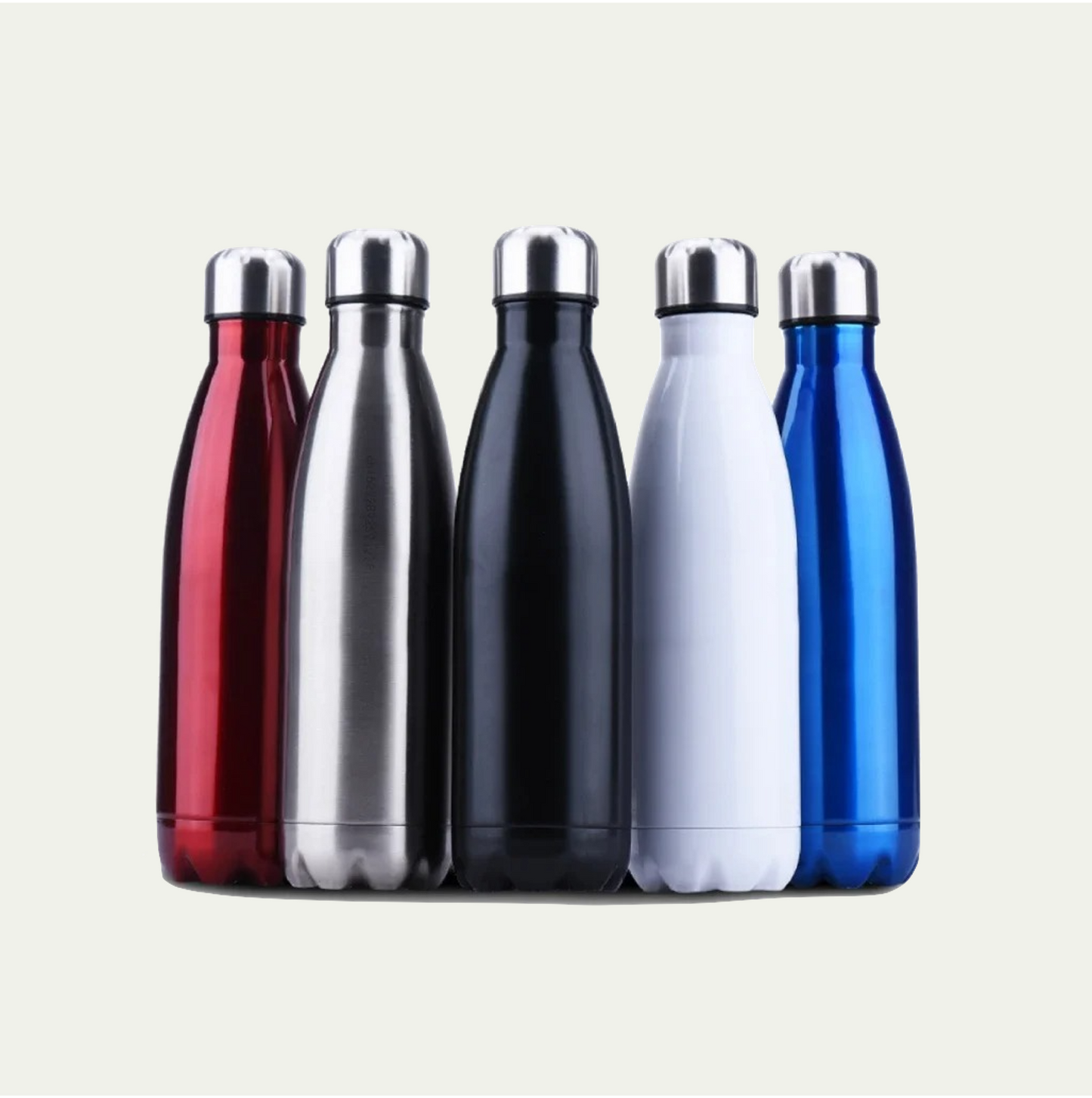 Insulated Water Bottle