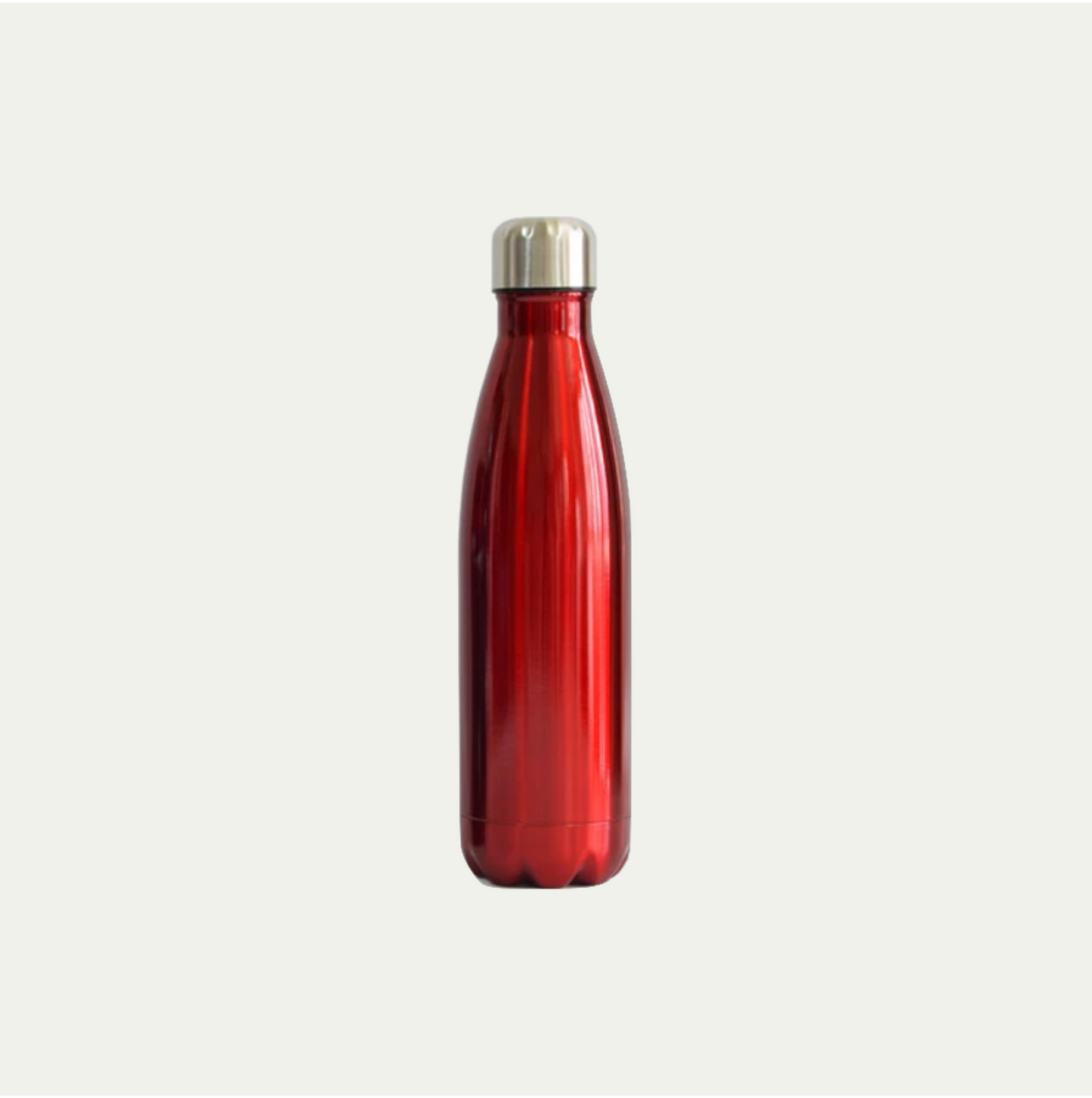Insulated Water Bottle