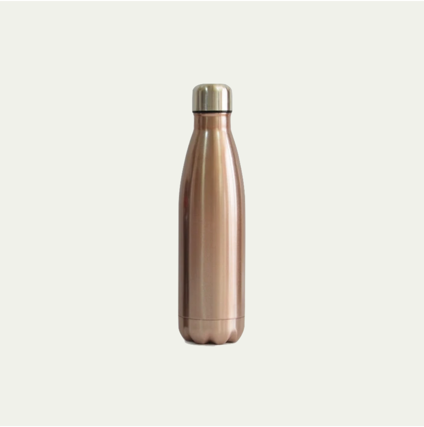 Insulated Water Bottle