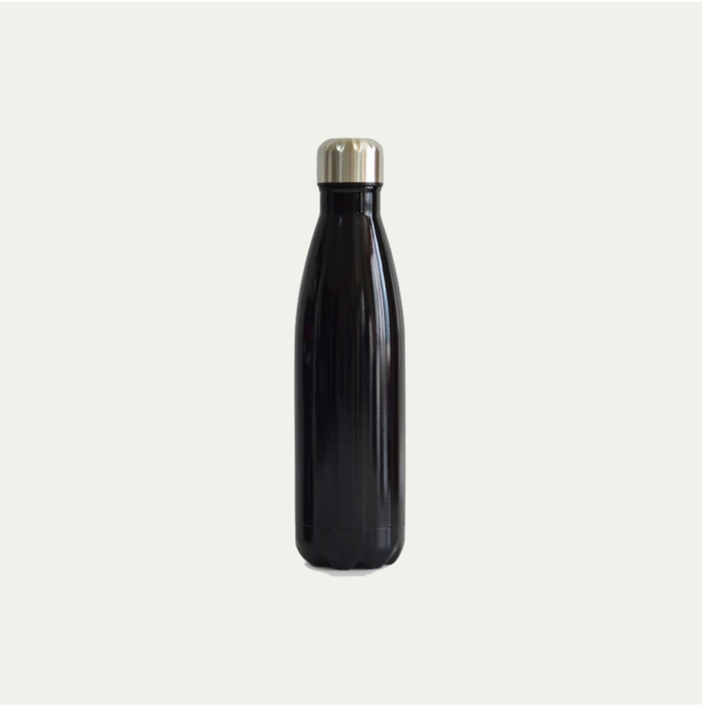 Insulated Water Bottle